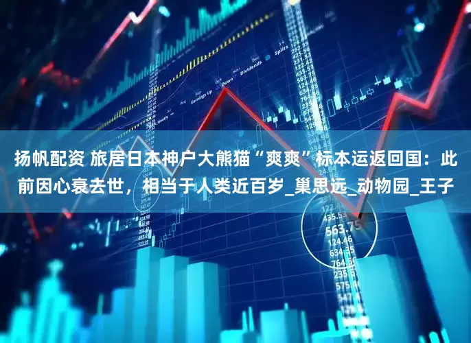 扬帆配资 旅居日本神户大熊猫“爽爽”标本运返回国：此前因心衰去世，相当于人类近百岁_巢思远_动物园_王子