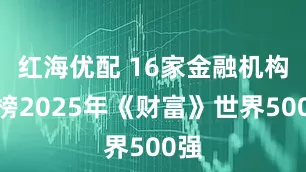 红海优配 16家金融机构上榜2025年《财富》世界500强